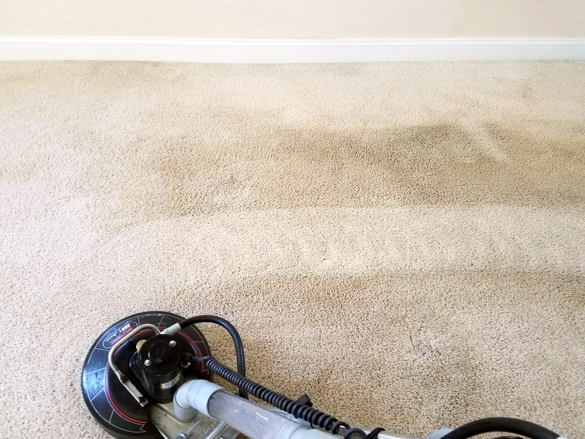 5 Signs Your Carpet Needs Professional Cleaning