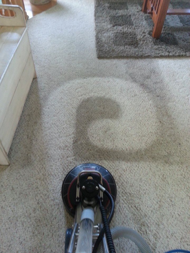 image of carpet cleaning by A-1 carpet cleaner in ames iowa