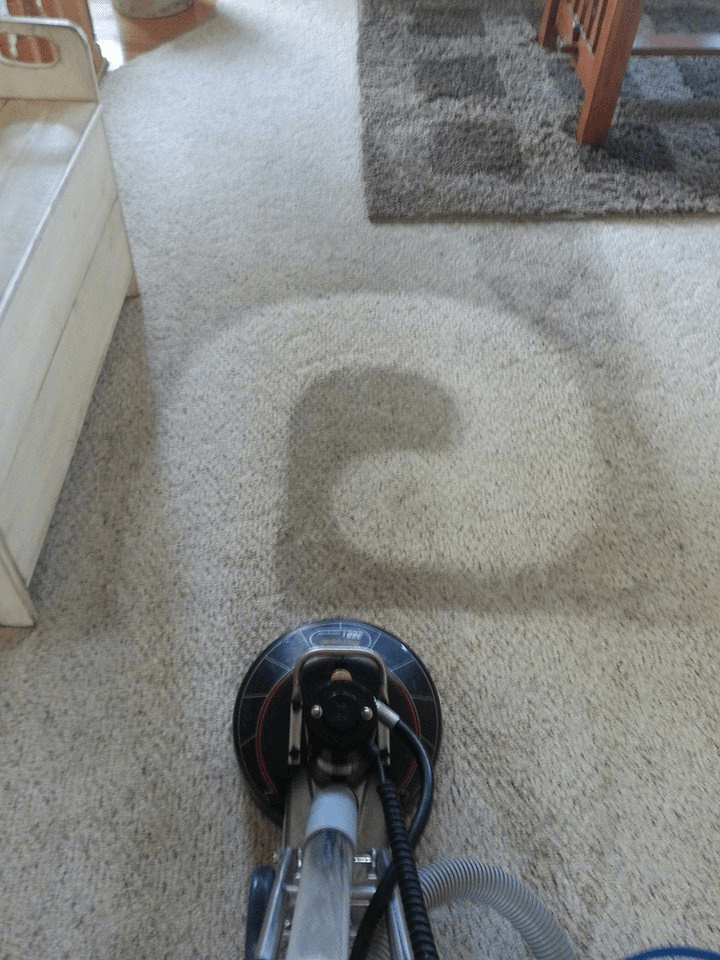 image of carpet cleaning by A-1 carpet cleaner in ames iowa