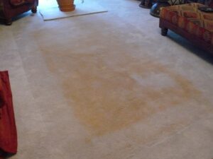 carpet Discoloration and Dullness 