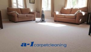 cleaning carpet image