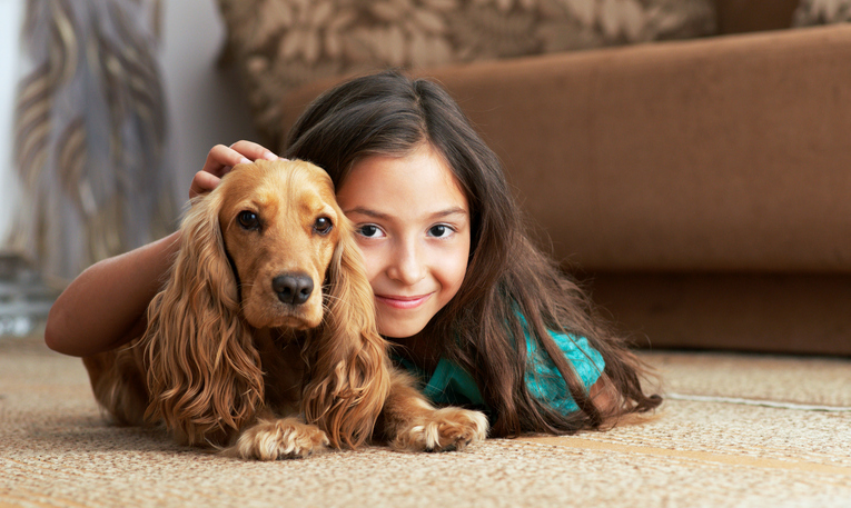Are Carpet Cleaning Chemicals Safe for Kids and Pets?