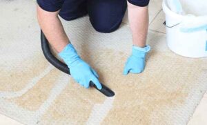 Eco-friendly enzyme carpet cleaning for pet urine in Ames IA homes