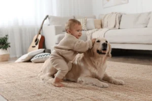 Pet-safe carpet cleaning in Ames IA for families and allergy relief
