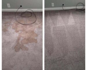 Before and after pet odor carpet cleaning in Ames, Iowa – A-1 Carpet Cleaning