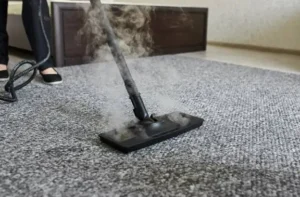 Deep carpet cleaning process removing dust mites and pet dander in Ames.