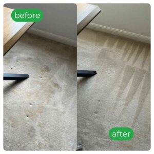 Before and after pet stain carpet cleaning Ames rental home
