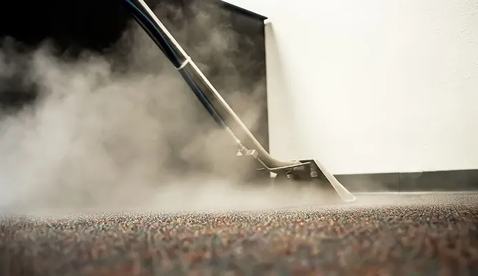 Professional carpet cleaning in Ames, Iowa, removing allergens with steam cleaning.