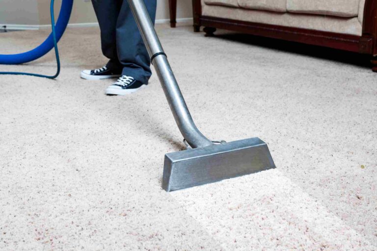 CARPET CLEANING BENEFITS AMES HOMES visual data 3