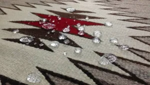 Carpet Stain Protection