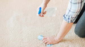benefits Carpet Stain Protection