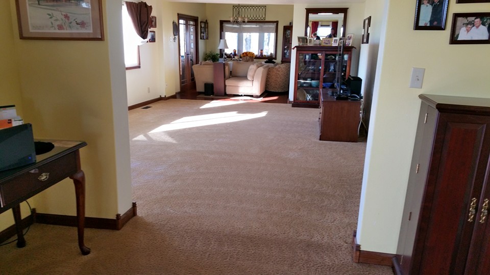 Scotchgard carpet protection for homes with kids and pets in Ames Iowa