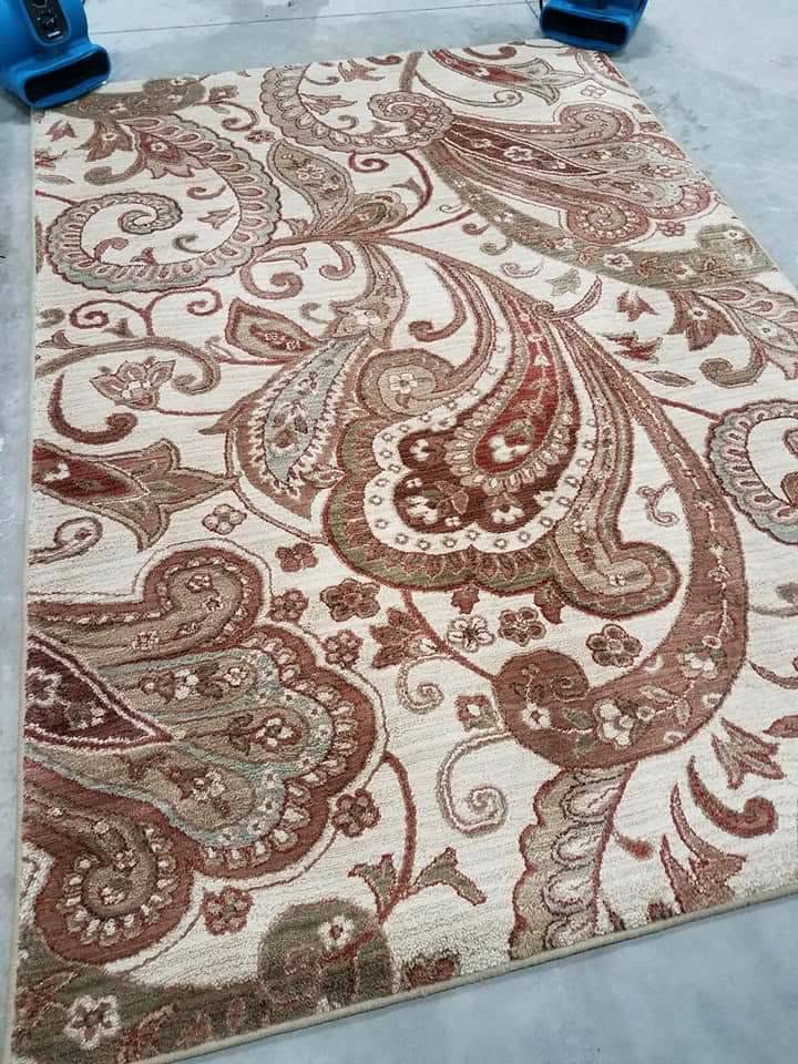 Freshly cleaned patterned area rug in an Ames, Iowa home