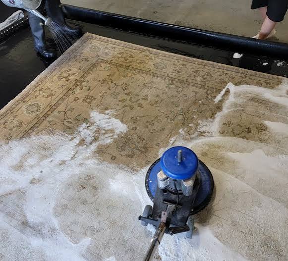 Professional wool area rug cleaning in Ames, Iowa